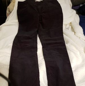 NWOT Cato Corduroy 5 pocket jeans.